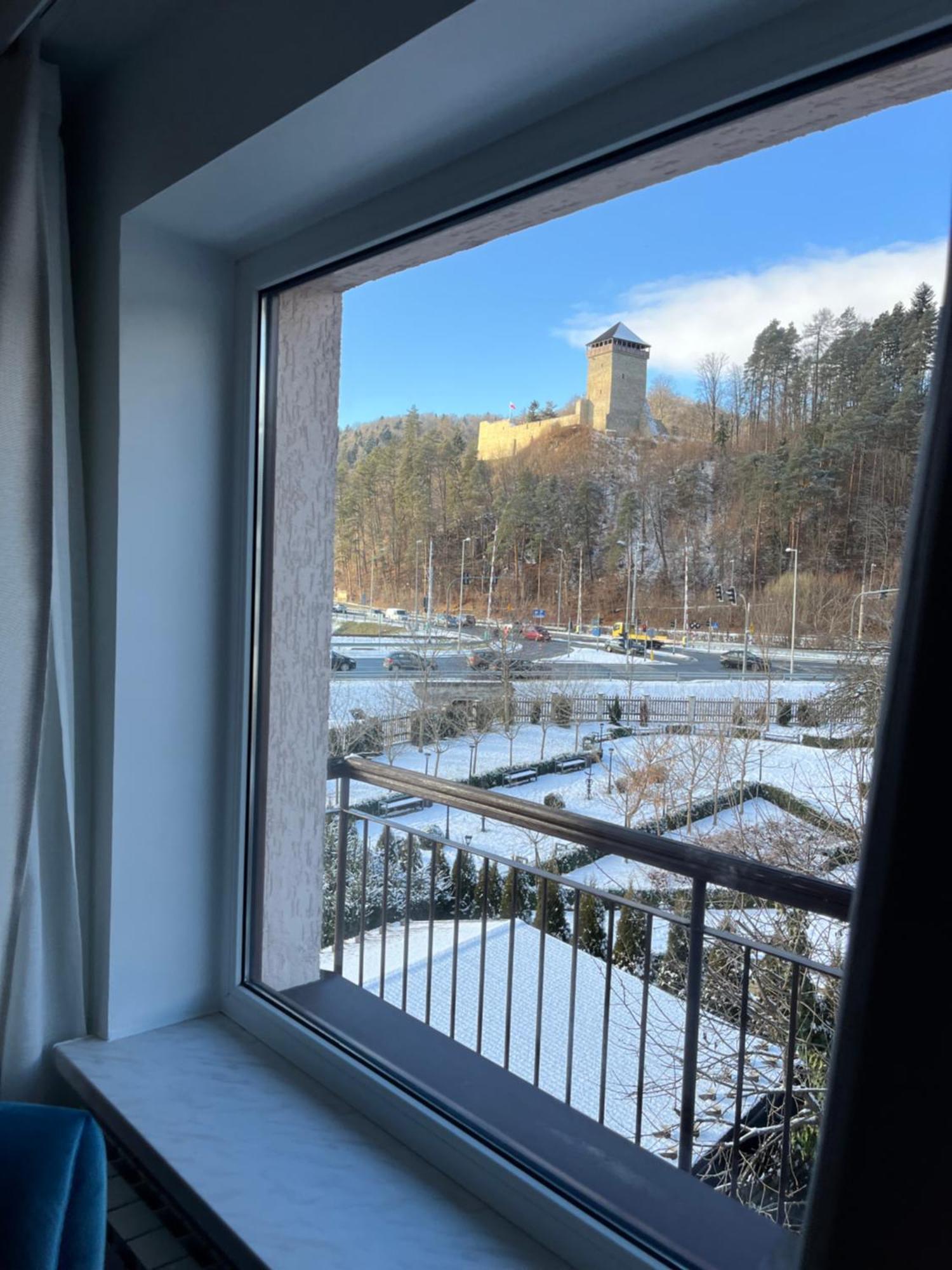 Villa Turris Apartamenty Przy Muszynskim Zamku Мушина Екстер'єр фото
